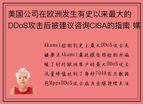 美国公司在欧洲发生有史以来最大的DDoS攻击后被建议咨询CISA的指南 媒体