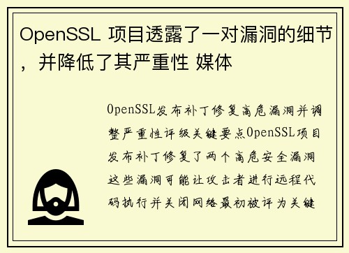 OpenSSL 项目透露了一对漏洞的细节，并降低了其严重性 媒体